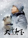 你的婚礼电影所有歌曲