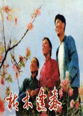 当幸福来敲门电影免费完整版