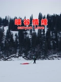 当幸福来敲门双语字幕电影