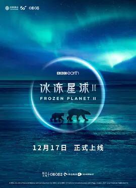 美国丽人快播
