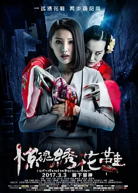 狄青鸾