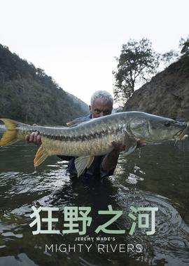 潘粤明云南虫谷电视剧在线观看
